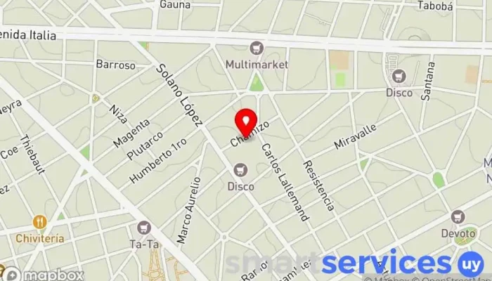 mapa de Instituto Arnold Gesell Escuela en Montevideo