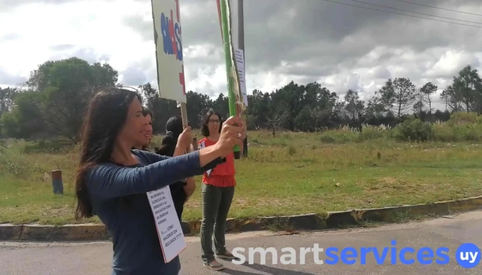 Instituto De Ensenanza Secundaria Videos - La Floresta