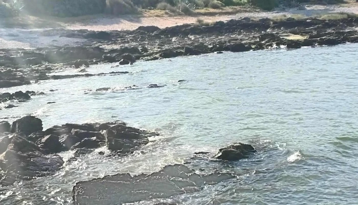 Isla De Lobos E Isla Gorriti -    Crucero Samoa Opiniones - Punta del Este