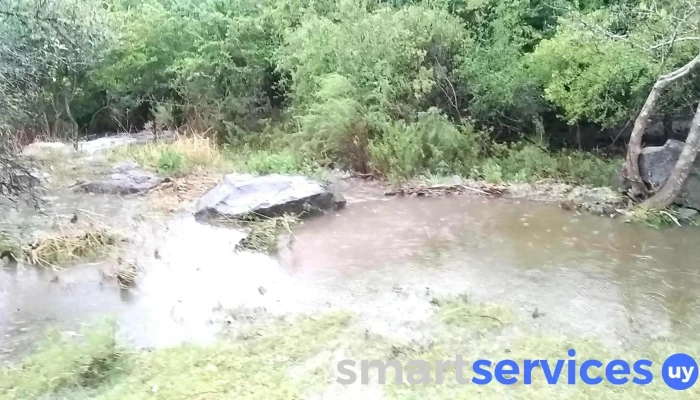 Joaquin Suarez Videos - Joaquín Suárez