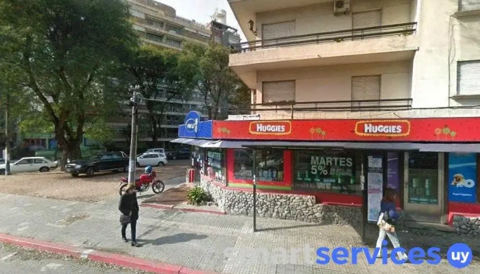 Jose Ellauri Y Blanca Del Tabare Montevideo - Montevideo
