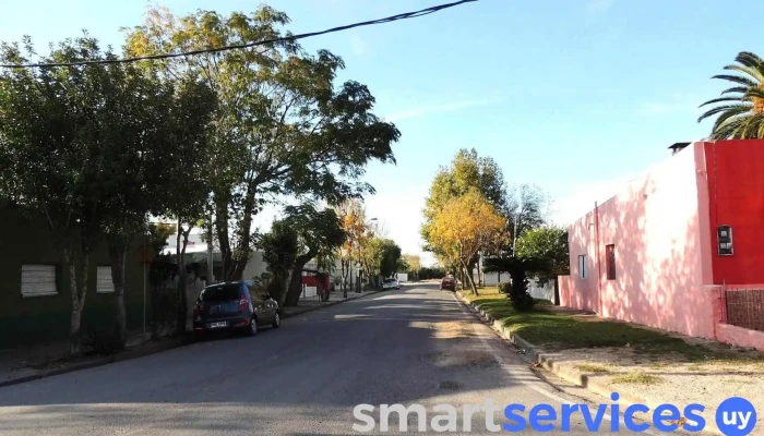 Junta Local - Rodríguez