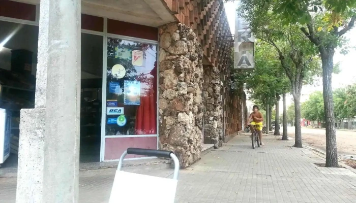 La Estrella. - 50002 Constitución