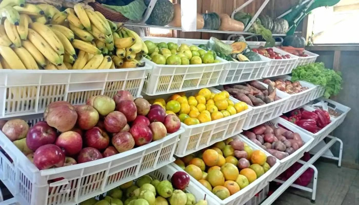 La Fruteria - 27400 La Paloma