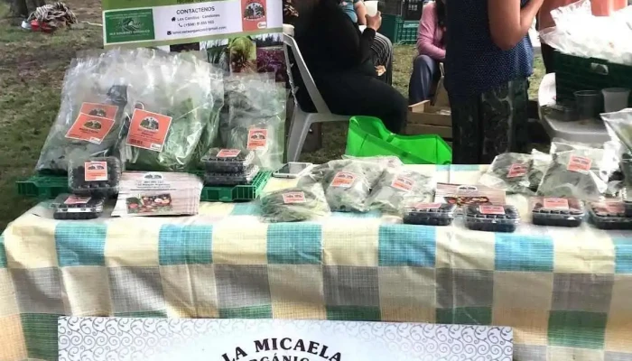 La Micaela - Alimentos Orgánicos - 90100 Aguas Corrientes