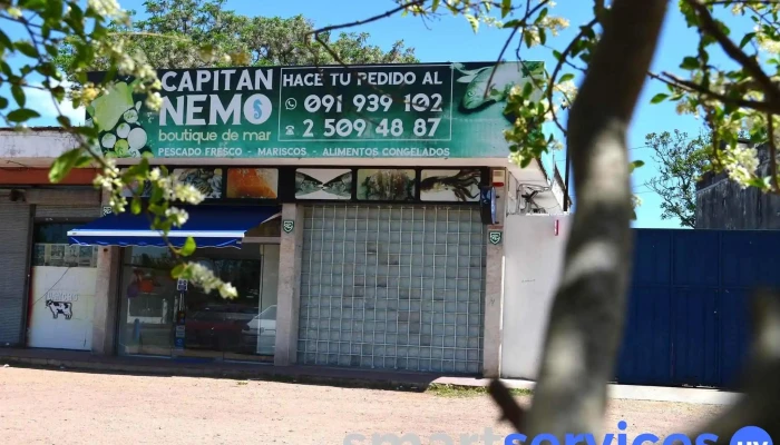 Lca - Serrana / Montevideo - 12000 Montevideo