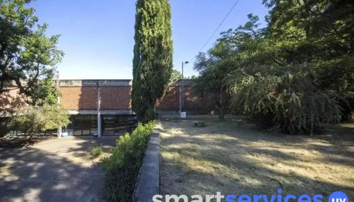 Liceo Auic De Rosario Como Llegar - Rosario