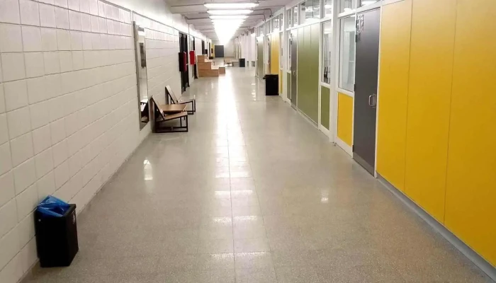Liceo De Casarino -  Mas Recientes - Casarino