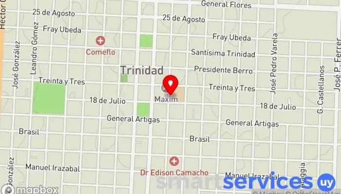 mapa de Liceo Departamental de Flores Escuela en Trinidad