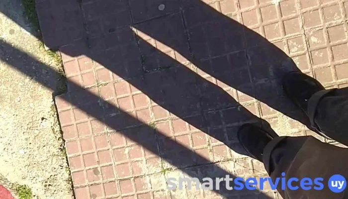 Liceo Ndeg 3 Damaso Antonio Larranaga Videos - Montevideo