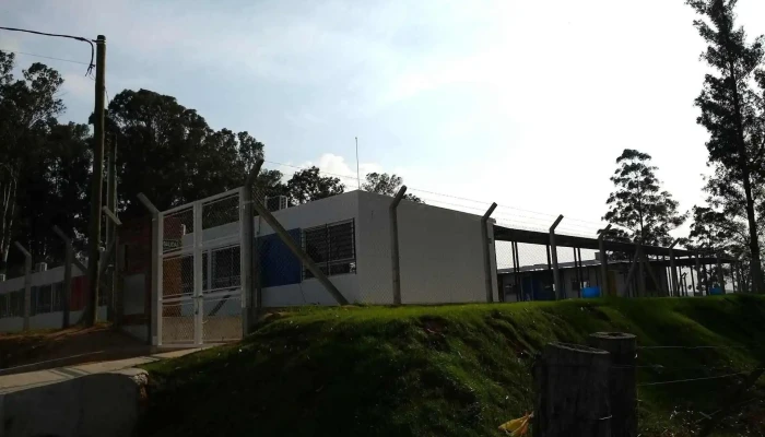 Liceo Ndeg 8 Instagram - Rivera