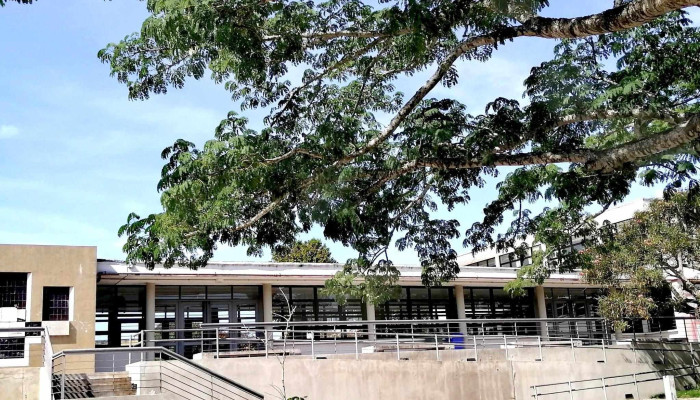 Liceo Ndeg1 Direccion - Treinta y Tres
