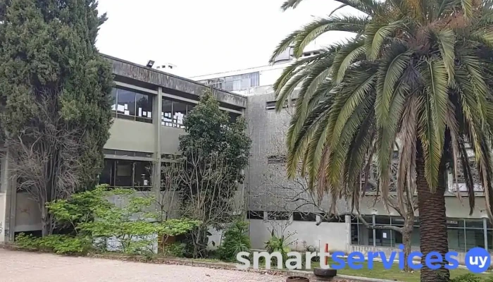Liceo No 6 Francisco Bauza Videos - Montevideo