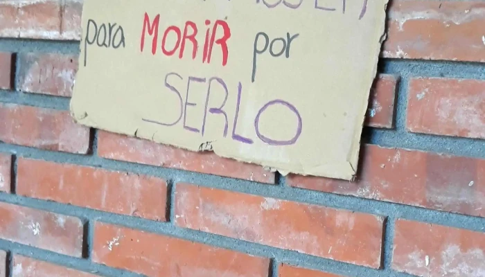 Liceo No 63 Idea Vilarino Instagram - Montevideo