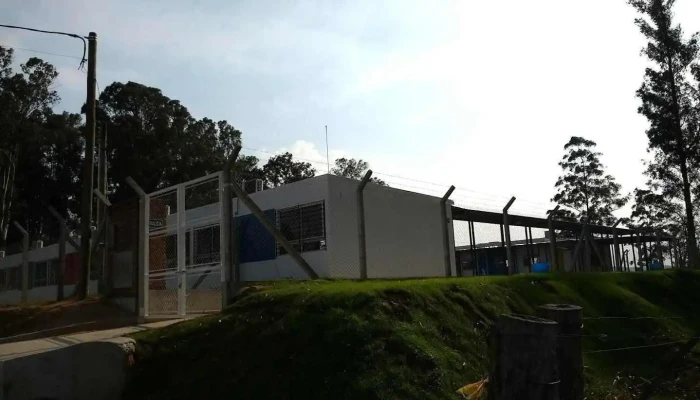 Liceo N° 8 -  Rivera - Rivera