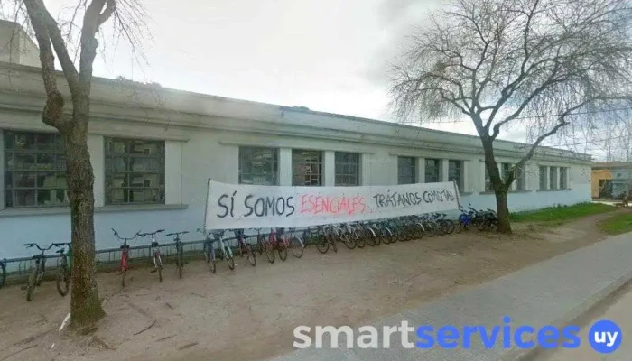 Liceo Nº 1 Departamental Doña Cora Vigliola de Renaud - Rocha