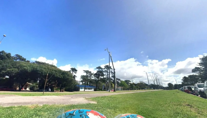 Liceo Punta Del Este -  Puntajedeg - Punta del Este