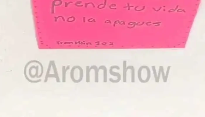 Liceo Quimico Farmaceutico Mario Brum Viana -  Videos - Tranqueras