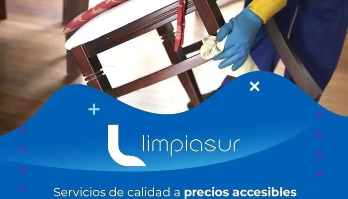Limpiasur -  Del Propietario - Montevideo