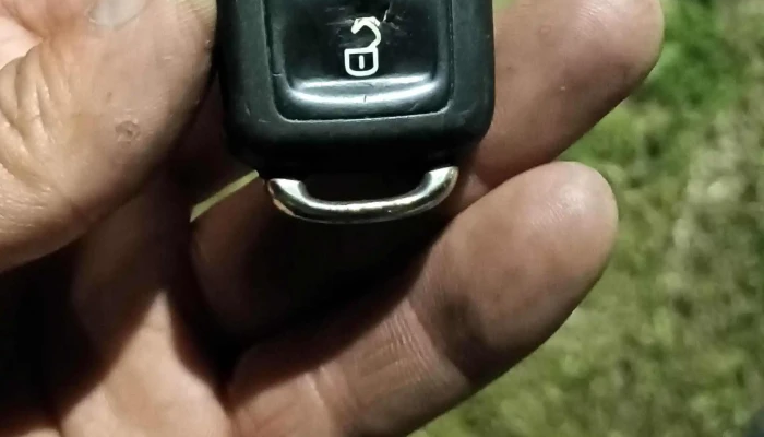 Llaves Codificadas De Auto Y Casas -  Comentario 10 - Montevideo