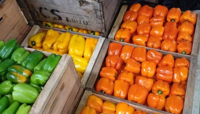 marcos bauza venta de frutas y verduras - Canelones