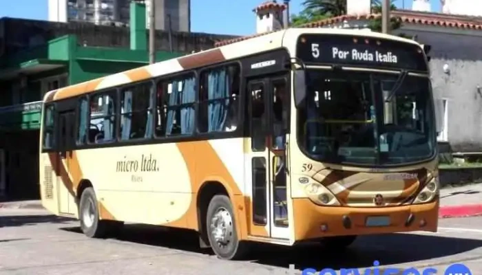 Micro Ltda. - Rivera