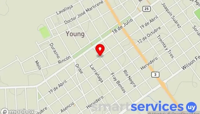 mapa de MIRTRANS Young Servicio de transporte en Young