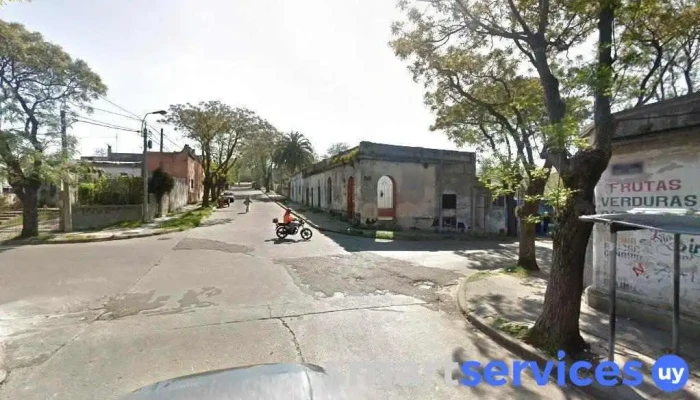 Modista - 12800 Montevideo