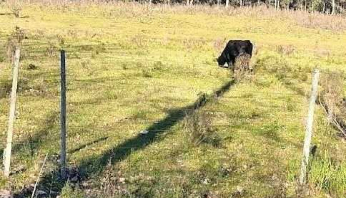 Montes -  Montes - - Montes