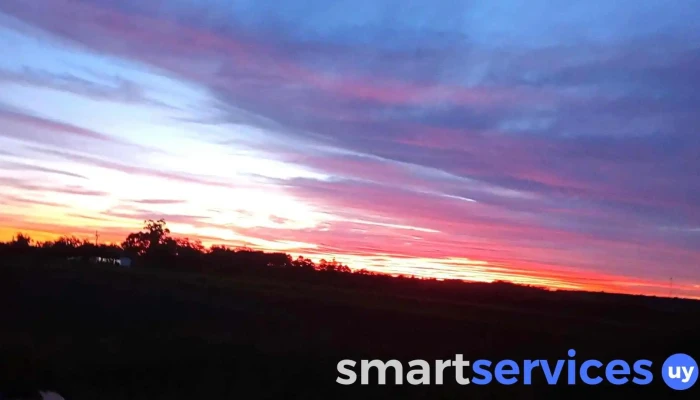 Municipio Los Cerrillos -  Videos - Los Cerrillos