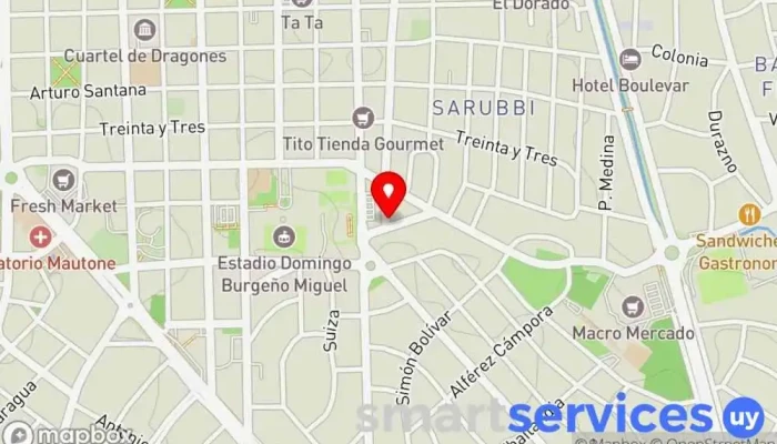 Neumaticos de punta - Punta Del Este