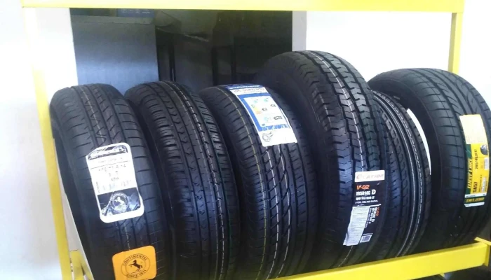 Neumaticos Del Lago Precios - Ciudad de la Costa
