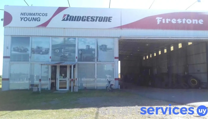 Neumaticos Young -  Taller De Reparacion De Automoviles - Departamento de Río Negro