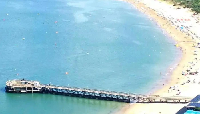 Nieto Paez Inmobiliaria   Punta Del Este Mas Recientes - Punta del Este