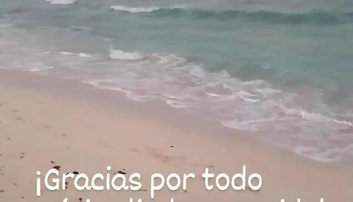 Nt Viajes -  Videos - Rosario