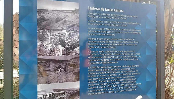 Nueva carrara pan de azúcar maldonado - 20300 Nueva Carrara