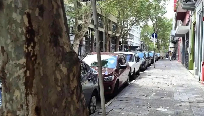 Optica Fornio Videos - Montevideo