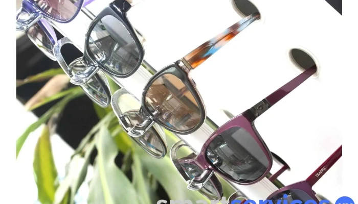 Optica Francesa Lentes De Sol - Montevideo