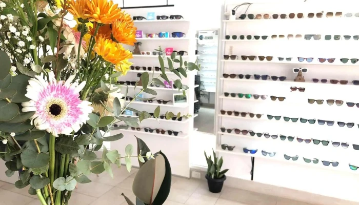 Optica Modernel Piriapolis Ubicacion - Piriápolis