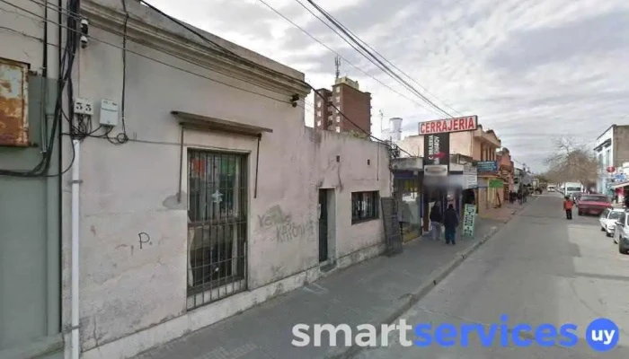 Optica Real - Pando