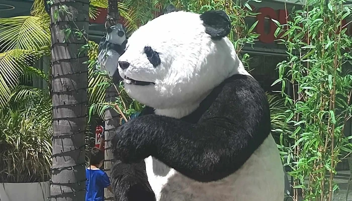 Panda Free Shop -  Descuentos - Rio Branco
