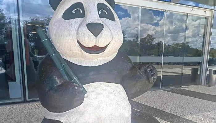 Panda Free Shop -  Donde - Rio Branco