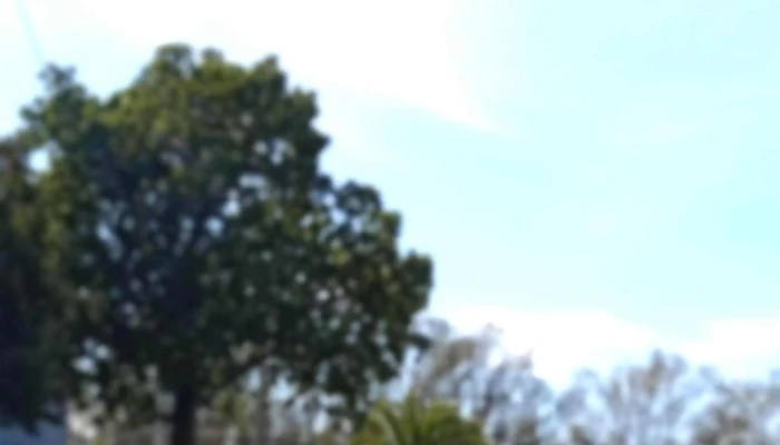 Parque Artigas -    Batalla De Las Piedras Abierto Ahora - Las Piedras