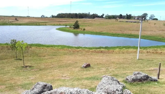 Parque del Rosedal - Carlos Reyles