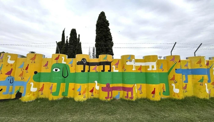 Paseo del Arte - 70000 Col. Del Sacramento