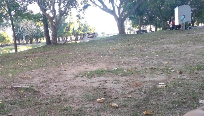 Paso De Los Toros -    Departamento De Tacuarembo Comentarios - Centenario