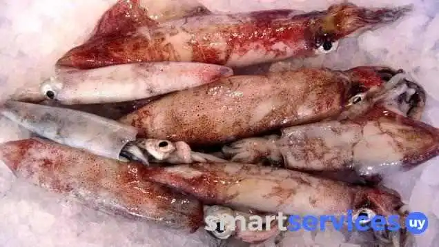 Pescadería en el cerro de Montevideo - Uruguay