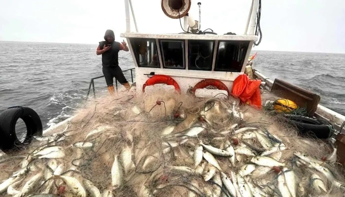 Pescaderia ManzaPez - 15000 Ciudad De La Costa