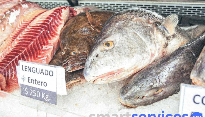 Pescadería Tupambae Ofelia - 20200 Piriápolis