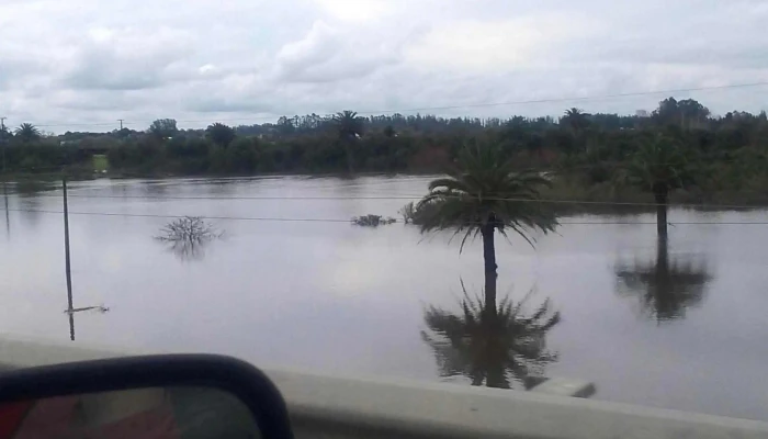 Piedra Alta Fm 1055 Como Llegar - Florida